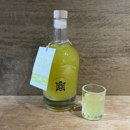 Tortocello Lime Gingembre 500ml